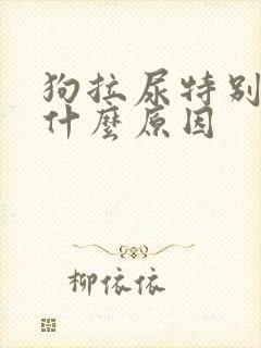 狗拉尿特别黄是什么原因