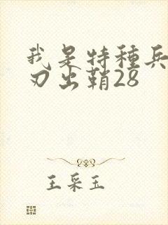 我是特种兵之利刃出鞘28