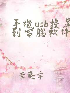 手机usb投屏到电脑软件