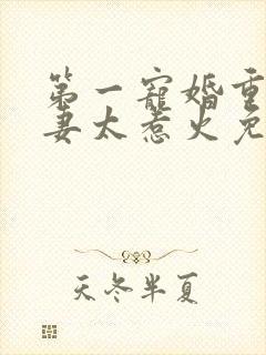 第一宠婚重生娇妻太惹火免费