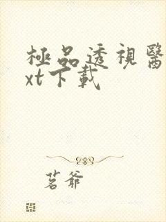 极品透视医仙txt下载