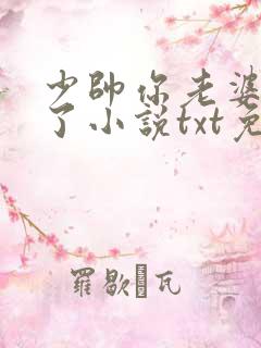 少帅你老婆又跑了小说txt免费下载