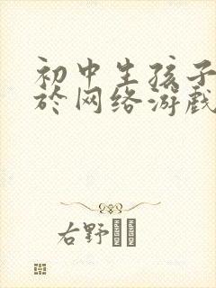 初中生孩子沉迷于网络游戏怎么办