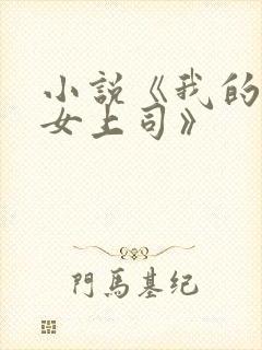 小说《我的风情女上司》