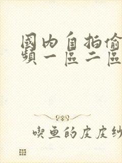 国内自拍偷拍视频一区二区