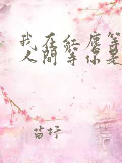 我在红尘等你,人间等你是什么歌