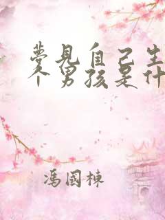 梦见自己生了一个男孩是什么意思