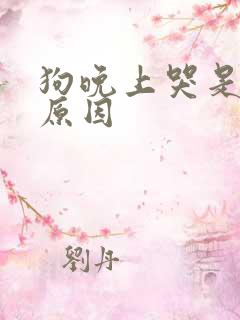 狗晚上哭是什么原因