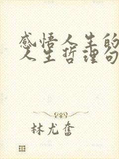 感悟人生的经典人生哲理句子