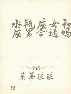 水瓶座女和处女座男合适吗