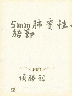 5mm肺实性小结节