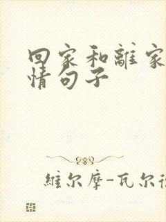 回家和离家的心情句子