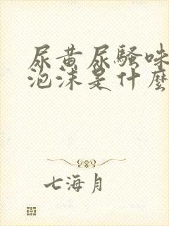 尿黄尿骚味重有泡沫是什么原因