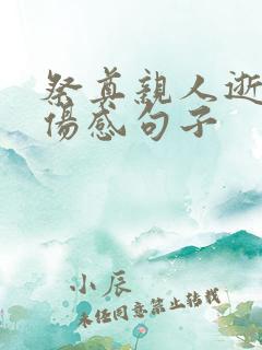 祭奠亲人逝世的伤感句子