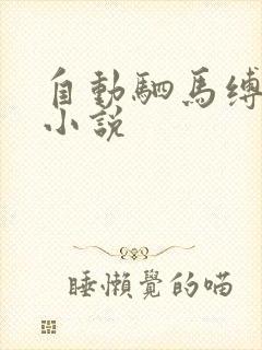 自动驷马缚拘束小说