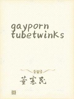 gayporntubetwinks
