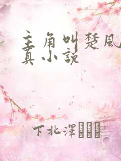 主角叫楚风的修真小说