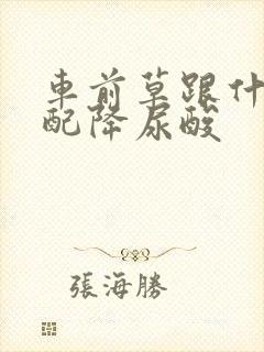 车前草跟什么搭配降尿酸