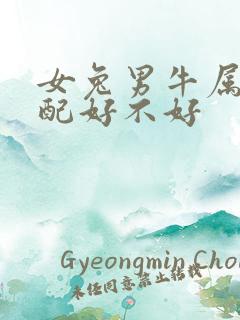 女兔男牛属相婚配好不好