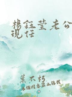 杨钰莹老公是谁现任