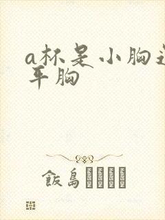 a杯是小胸还是平胸