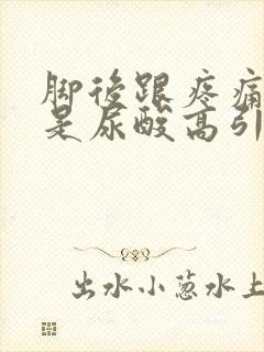 脚后跟疼痛是不是尿酸高引起的?