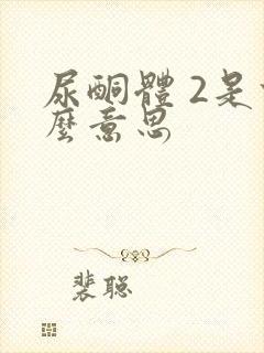 尿酮体 2是什么意思