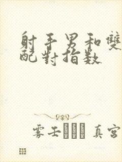 射手男和双子女配对指数