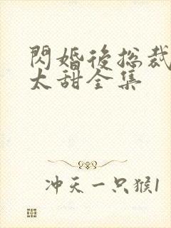 闪婚后总裁娇妻太甜全集