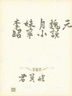 李姝月魏元恪李昭宁小说