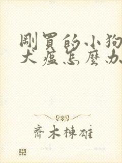 刚买的小狗得了犬瘟怎么办