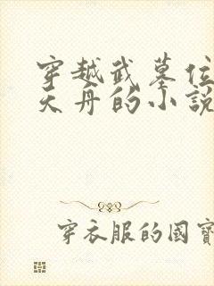 穿越武墓位面搞天舟的小说