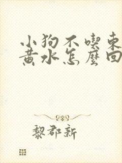 小狗不吃东西吐黄水怎么回事