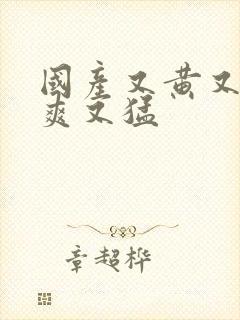 国产又黄又大又爽又猛