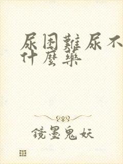 尿困难尿不尽吃什么药