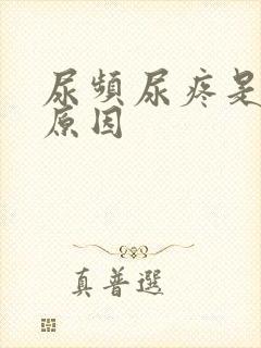 尿频尿疼是什么原因