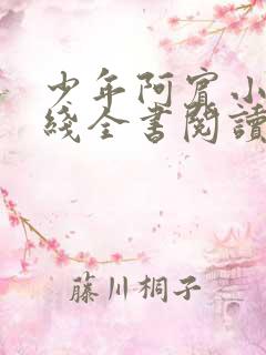 少年阿宾小说在线全书阅读无弹窗免费