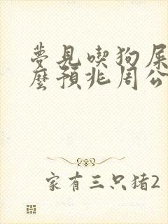 梦见吃狗屎是什么预兆周公解梦