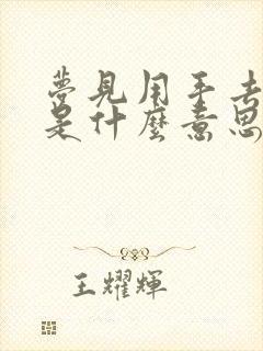 梦见用手去抓屎是什么意思?