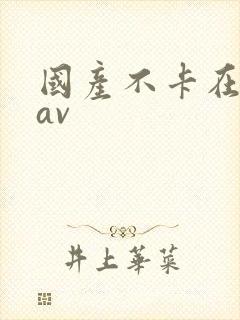 国产不卡在线小av