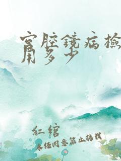 宫腔镜病检查费用多少