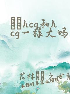 β–hcg和hcg一样大吗