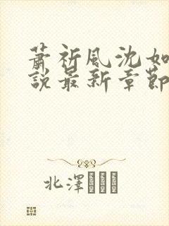 萧祈风沈如枝小说最新章节