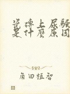 瓷砖上尿骚味重是什么原因