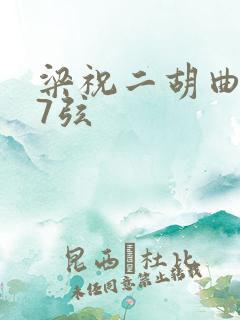 梁祝二胡曲谱37弦