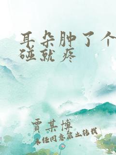 耳朵肿了个包一碰就疼