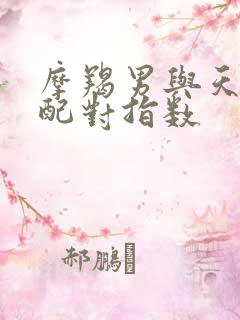 摩羯男与天秤女配对指数