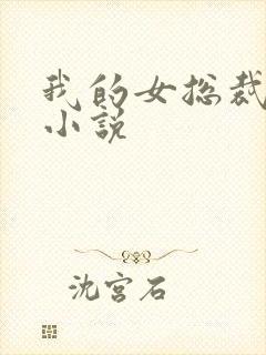 我的女总裁女友小说