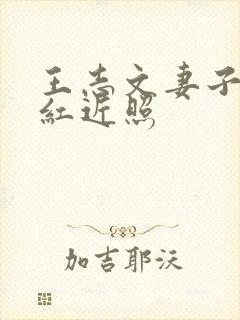 王志文妻子陈坚红近照