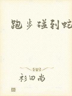 跑步碰到蛇预兆